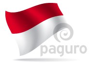 Flag - Indonesia