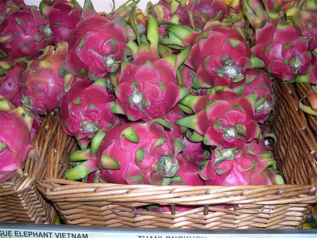 Dragon Fruit