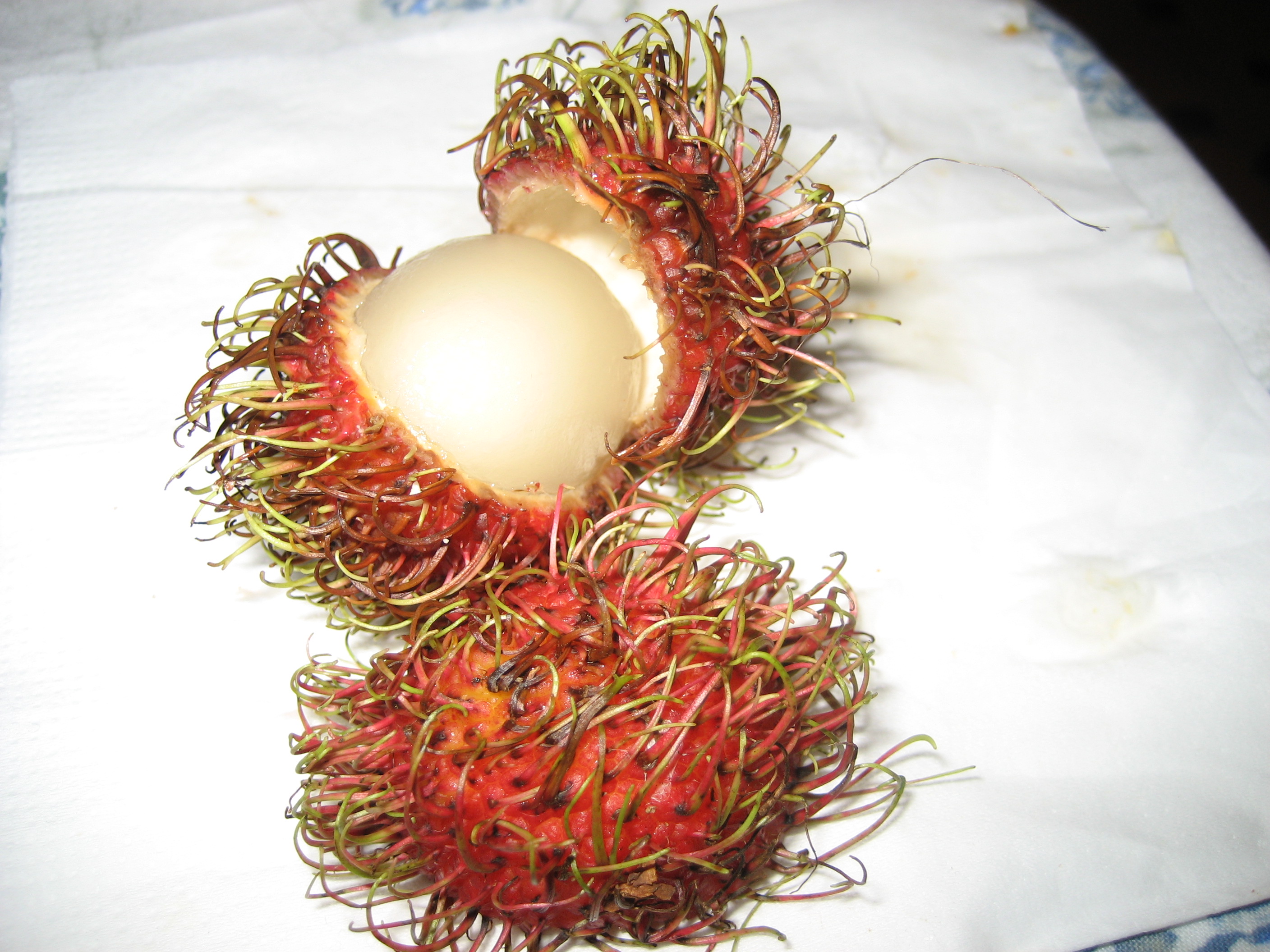 Rambutan