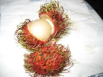 Rambutan