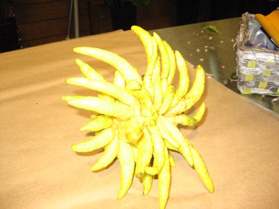 Buddha Hand